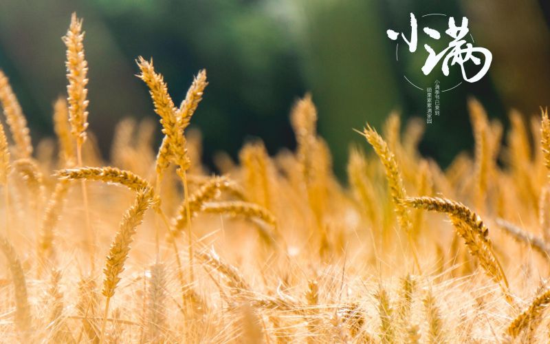 人生小滿勝萬全！